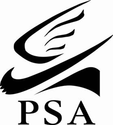 Professional Skaters Association